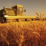 Italia: meno terreno agricolo, più dipendenza alimentare