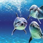 Carne, Le Iene denunciano: delfini servito nei ristoranti italiani