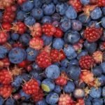 Epatite A, focus su 10 aziende