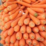 Una carota allunga la vita