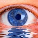 Nella fase REM gli occhi guardano i sogni