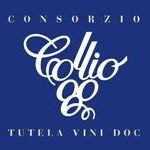 Cormons (GO): L'assessore Violino in visita alla sede sede del Consorzio tutela vini doc Collio e Carso.