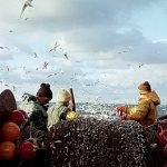 Cucina, gastronomia, volontariato: Porto Garibaldi inaugura la Sagra della Seppia e della Canocchia