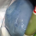 Mozzarelle, il 70% contaminato da batteri