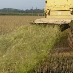 Mafia: Coldiretti, al via mietitura sui terreni confiscati