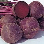 La barbabietola rossa abbassa la pressione del sangue