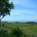 Continua la crescita del Bardolino: +10% nei primi sei mesi del 2010