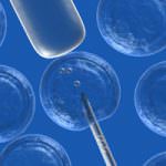 I bambini in provetta più soggetti ai tumori