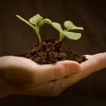 Anche i giovani di Confagricoltura presenti alla grande manifestazione di Cremona