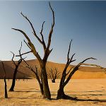 Namibia prevented spread of Rift Valley Fever, saved lives