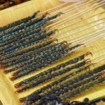 Mangiare insetti per combattere la fame nel mondo