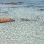 Vacanze: Anno nero per trasporti e tour operator