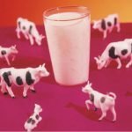 Latte e derivati provenienti dagli eredi delle mucche clonate? Coldiretti dice no!