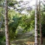 La giostra dei Casali: il Medioevo torna in Valle Sturla