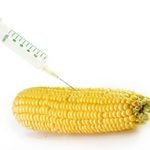 La Cia continua la battaglia contro gli Ogm in Friuli