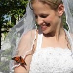 Butterfly Wedding: Dagli States arriva la nuova tendenza