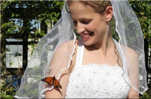 Matrimonio: uomo più sano, donna più savia