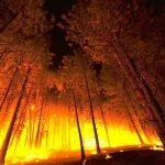 La FAO lancia un sistema di monitoraggio degli incendi sviluppato dalla NASA