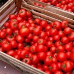 Pomodori: licopene per il cuore e contro il colesterolo