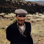 Protesta dei pastori: La Regione Sardegna è pronta a scendere in campo per il rilancio del settore