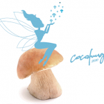 Le emozione delle favole rivivono grazie agli chef CocoFungo e ai loro sette mestoli magici