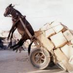 Mi scrive un ristoratore