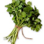 Il crescione d'acqua, la via chimica contro il cancro?