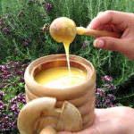 Il miele Ulmo combatte i batteri farmaco-resistenti