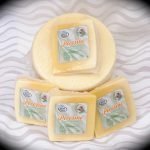 Pecorino sardo fatto in Romania? Il falso Made in Italy è anche in Ecuador