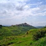 Autunno in Navarra: andar per vini e buona tavola