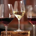 Brindisi: I vini di Tenute Rubino allietano la serata d'apertura del Teatro Verdi