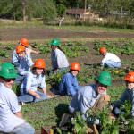 Inizia la scuola e ripartono le fattorie didattiche