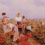 A Collecchio (PR) il 25 settembre si inaugura il Museo dell'Oro Rosso