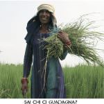 II edizione di "Equopertutti", manifestazione dedicata al commercio equo e solidale