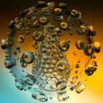 Un unico virus all'origine di raffreddore ed obesità infantile