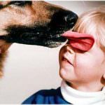 Bambini: un cane in famiglia rende meno soggetti ad obesità e problemi cardiaci