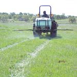 Occupazione: In aumento i lavoratori in agricoltura