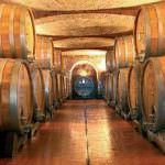 Forum Montepaschi: tutti a Siena per parlare di vino