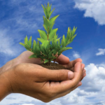 Salone Internazionale del Gusto e Terra Madre: Come ridurre l'impatto ambientale degli eventi