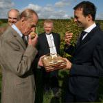 Il Principe Filippo, ahimè, non potrà mai coltivare il tartufo Bianco!