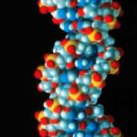 Accendere il gene P11 per spegnere la depressione