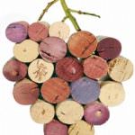 Vino e tecnologia. Bolzano ospita Autochtona 2010