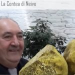 La Contea di Neive, langhe albesi, qui trovi il vero Tartufo bianco di Alba
