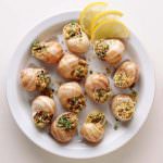 Lo sapevi che... Ti consiglio di inserire le lumache nella tua dieta alimentare