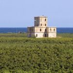 Salento, Tenute Rubino: vendemmia delle Donne e Master di comunicazione del Vino (seconda parte: accoglienza e ospitalità)