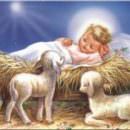 “Riprendiamoci Gesù Bambino!”: Dov’è finito il simbolo autentico delle Festività?