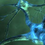 Troppi integratori all'origine della SLA tra i calciatori