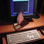 Easy Download: Euro Content Ltd nuovi guai da AGCM per violazione del Codice del Consumo