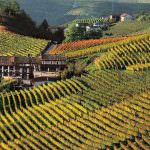 Roma, Wine Kiss: Una serata dedicata alla scoperta del Monferrato