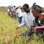 Fame nel mondo, Cia: "Occorre più agricoltura per sfamare il Pianeta"